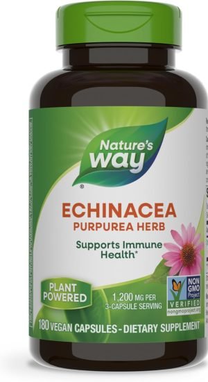 Top 20 Supplements for Overall Health and Wellbeing Nature's Way Echinacea Purpurea Herb